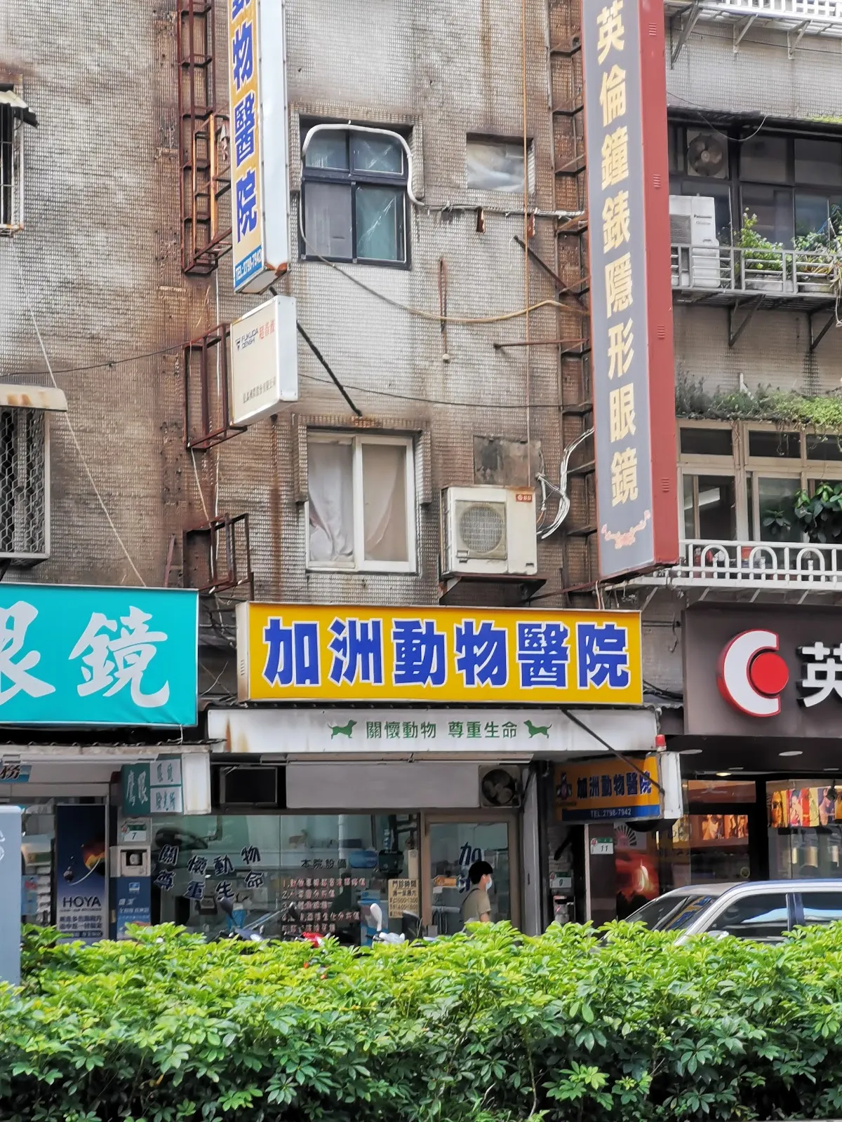 加洲動物醫院