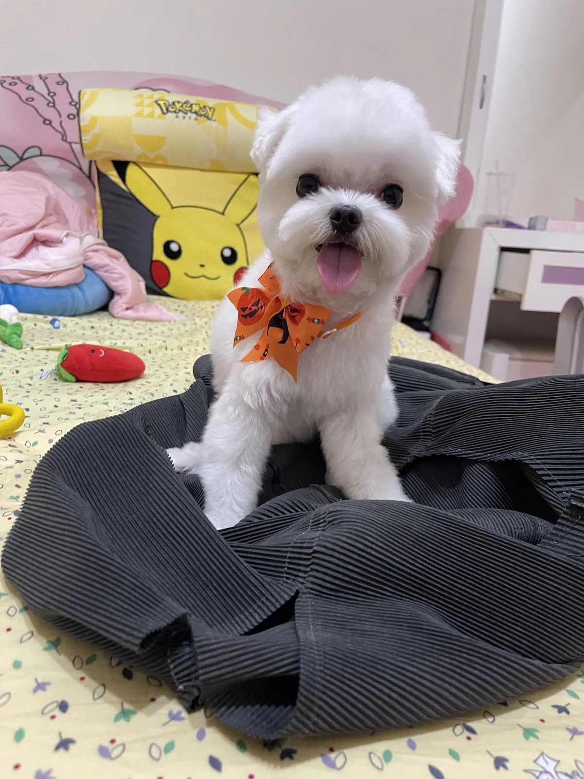 慈愛動物醫院九如分院