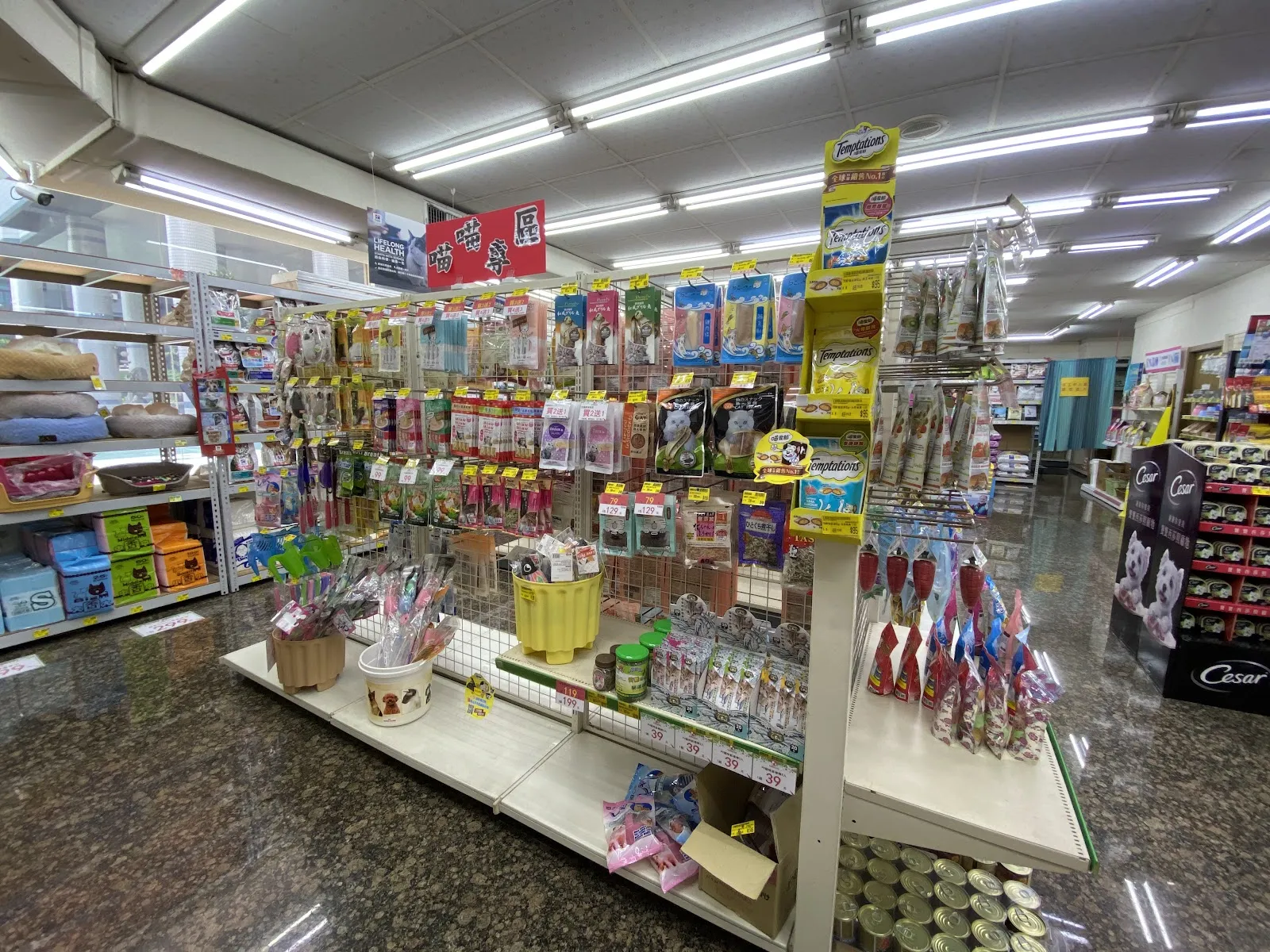 慈愛動物醫院九如分院