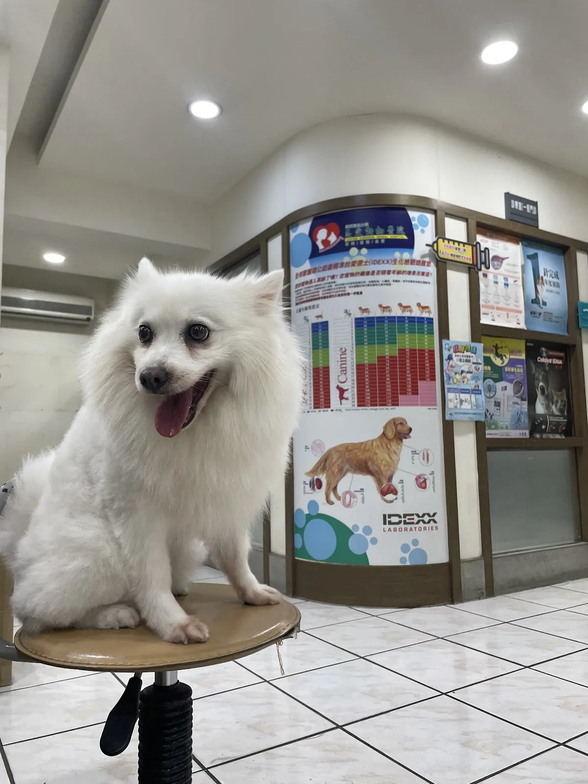 慈愛動物醫院九如分院