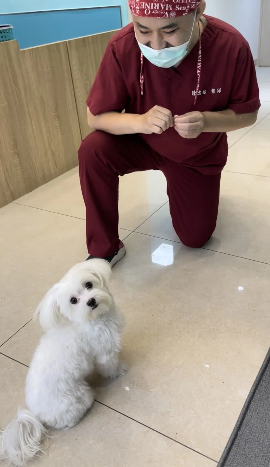 愛心堡動物醫院