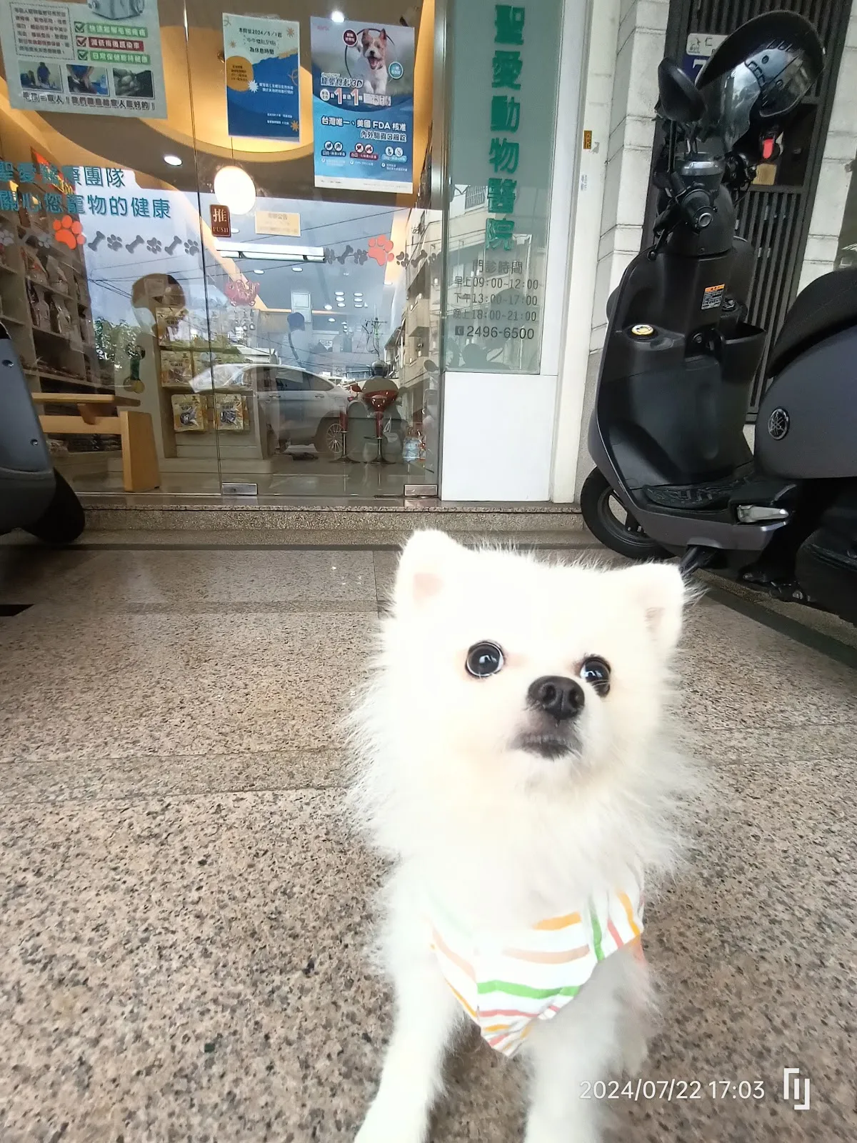 聖愛動物醫院仁化店