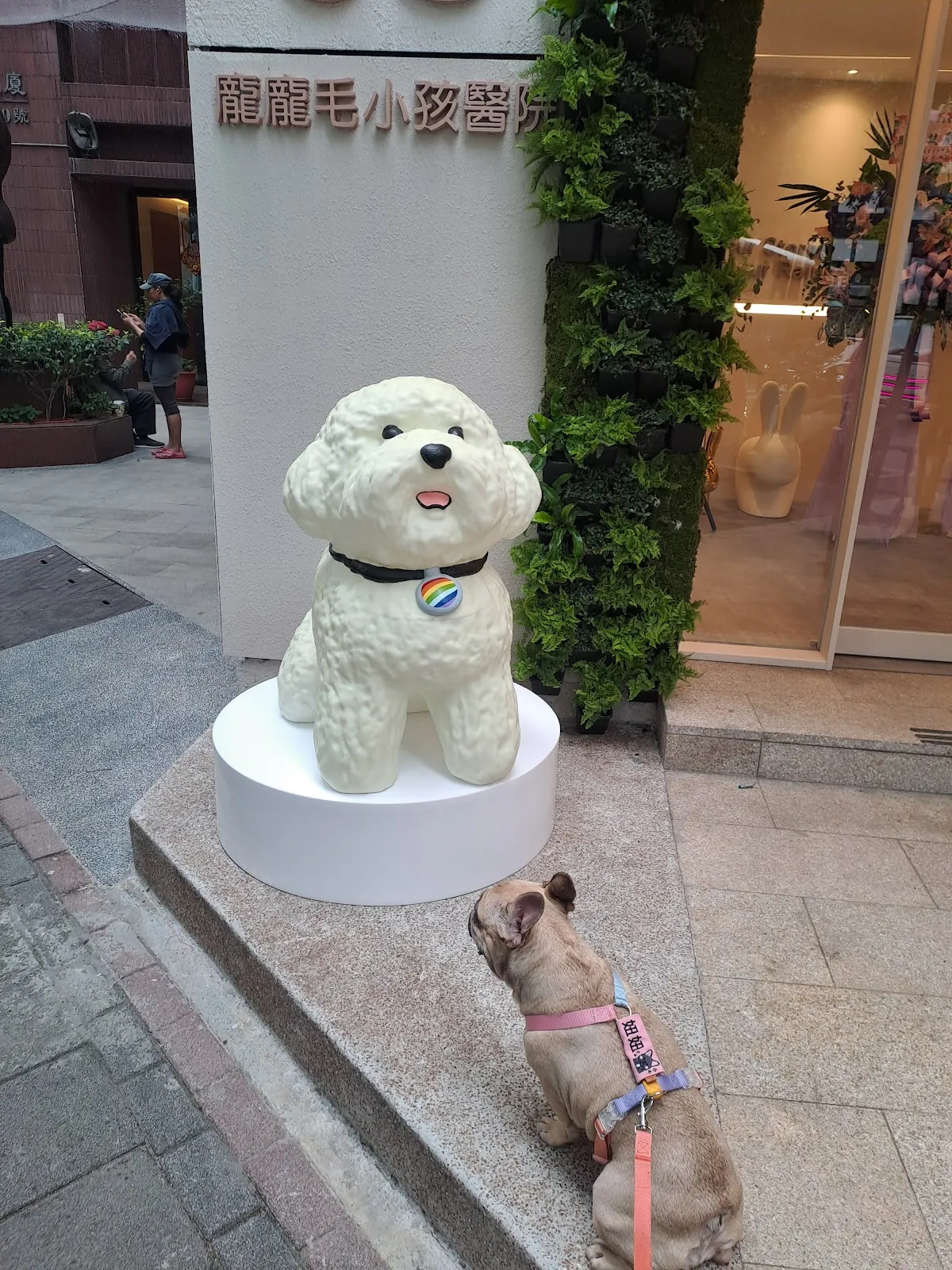 龐龐毛小孩動物醫院