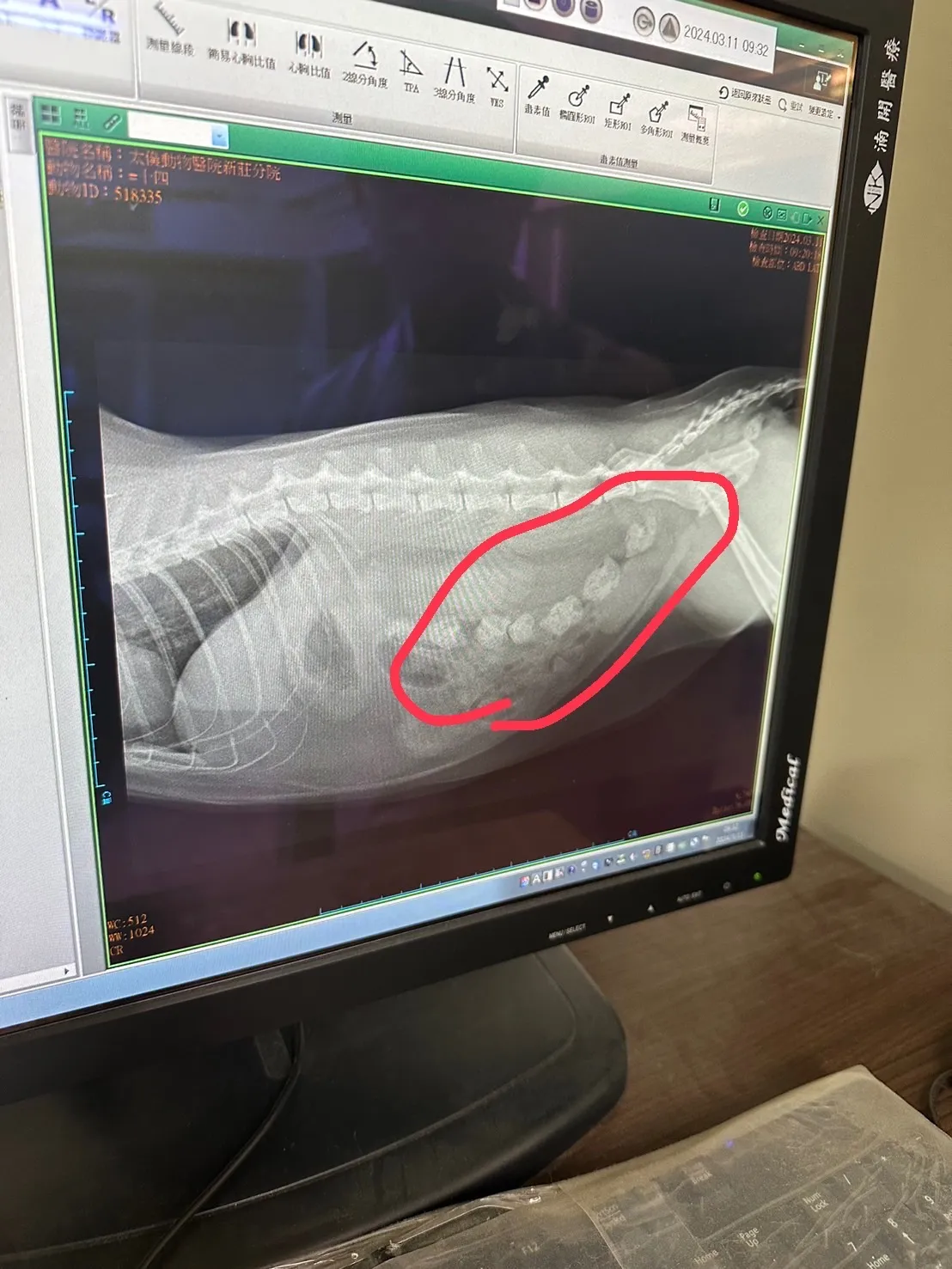 新莊太僕動物醫院