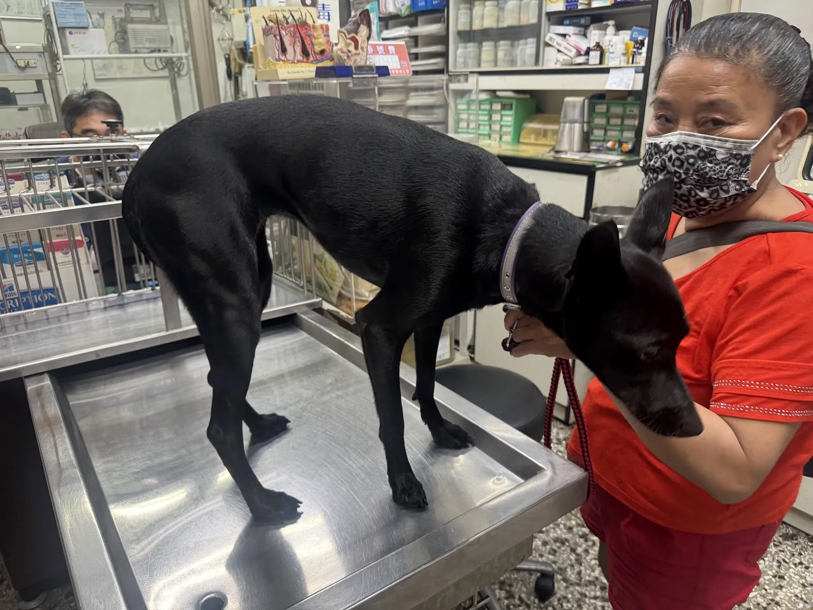 中山動物醫院
