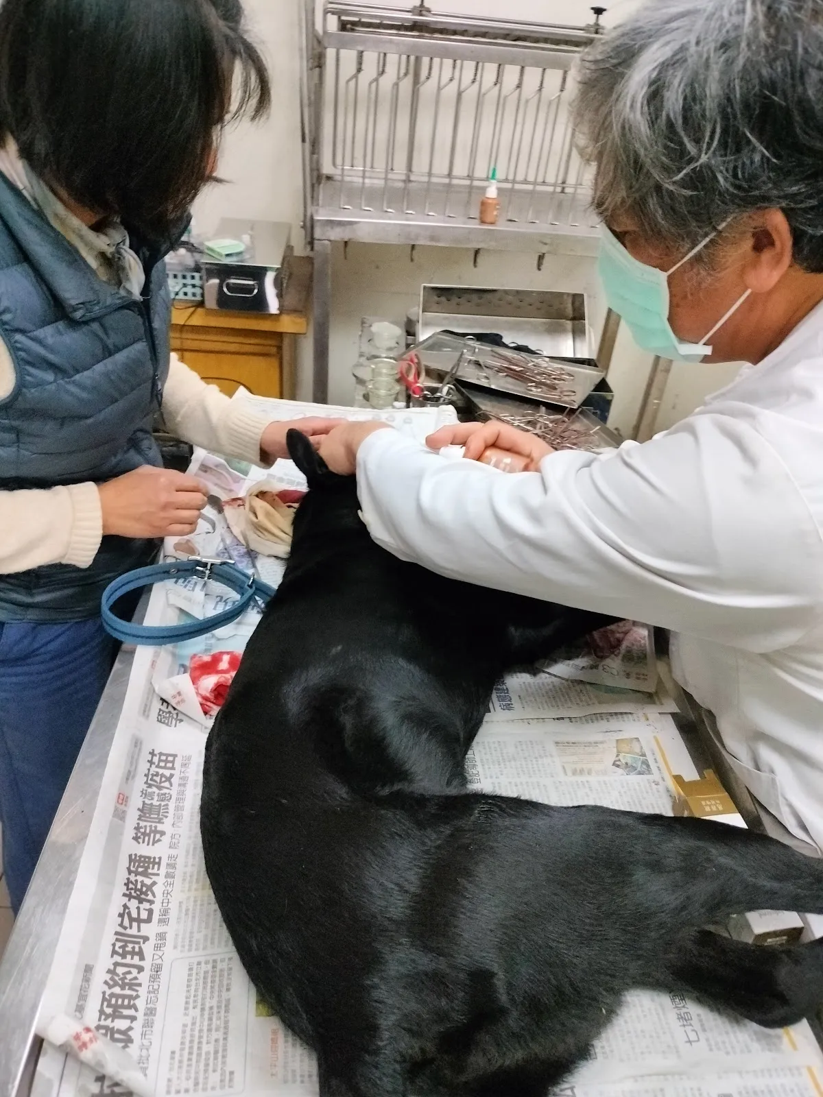 佳恩動物診所