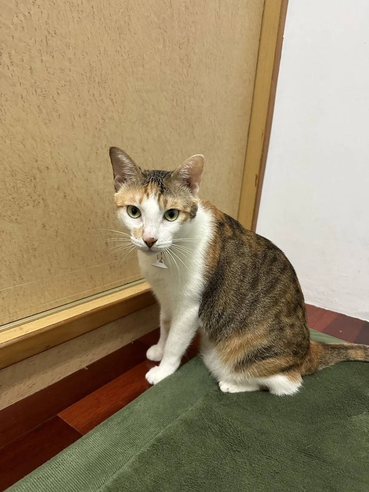 培安動物醫院
