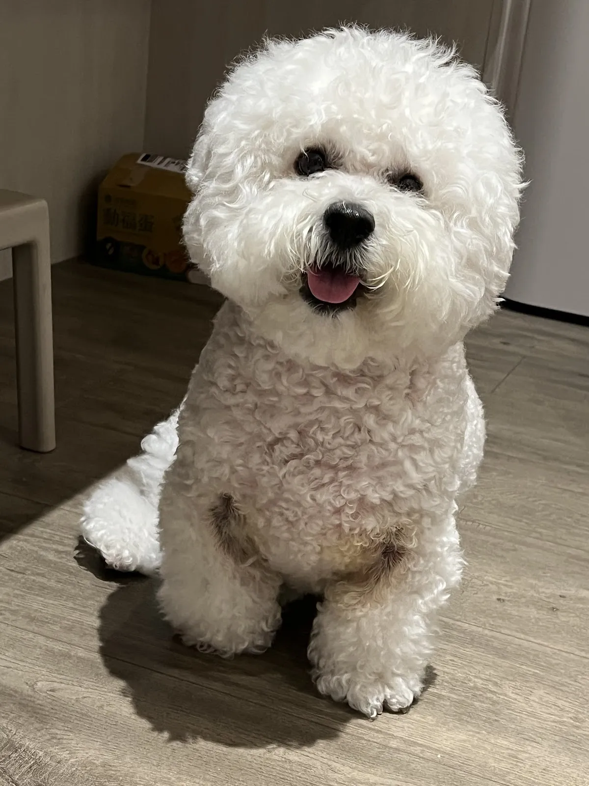 翔宇生醫動物醫院