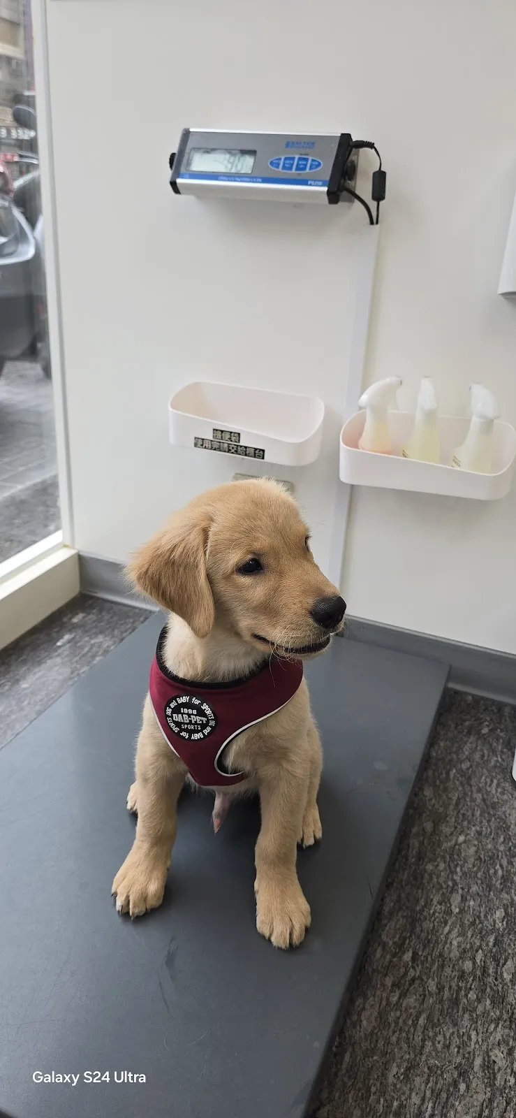 全國動物醫院大里分院