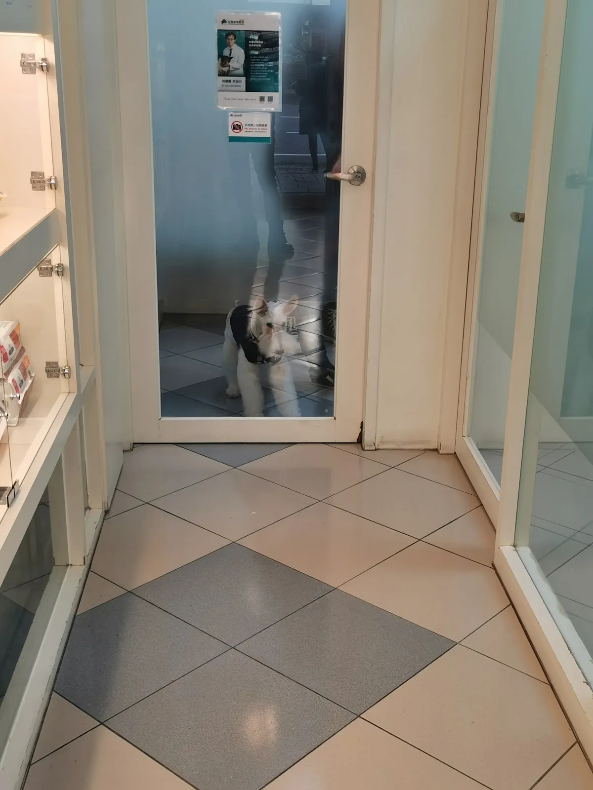 全國動物醫院大里分院