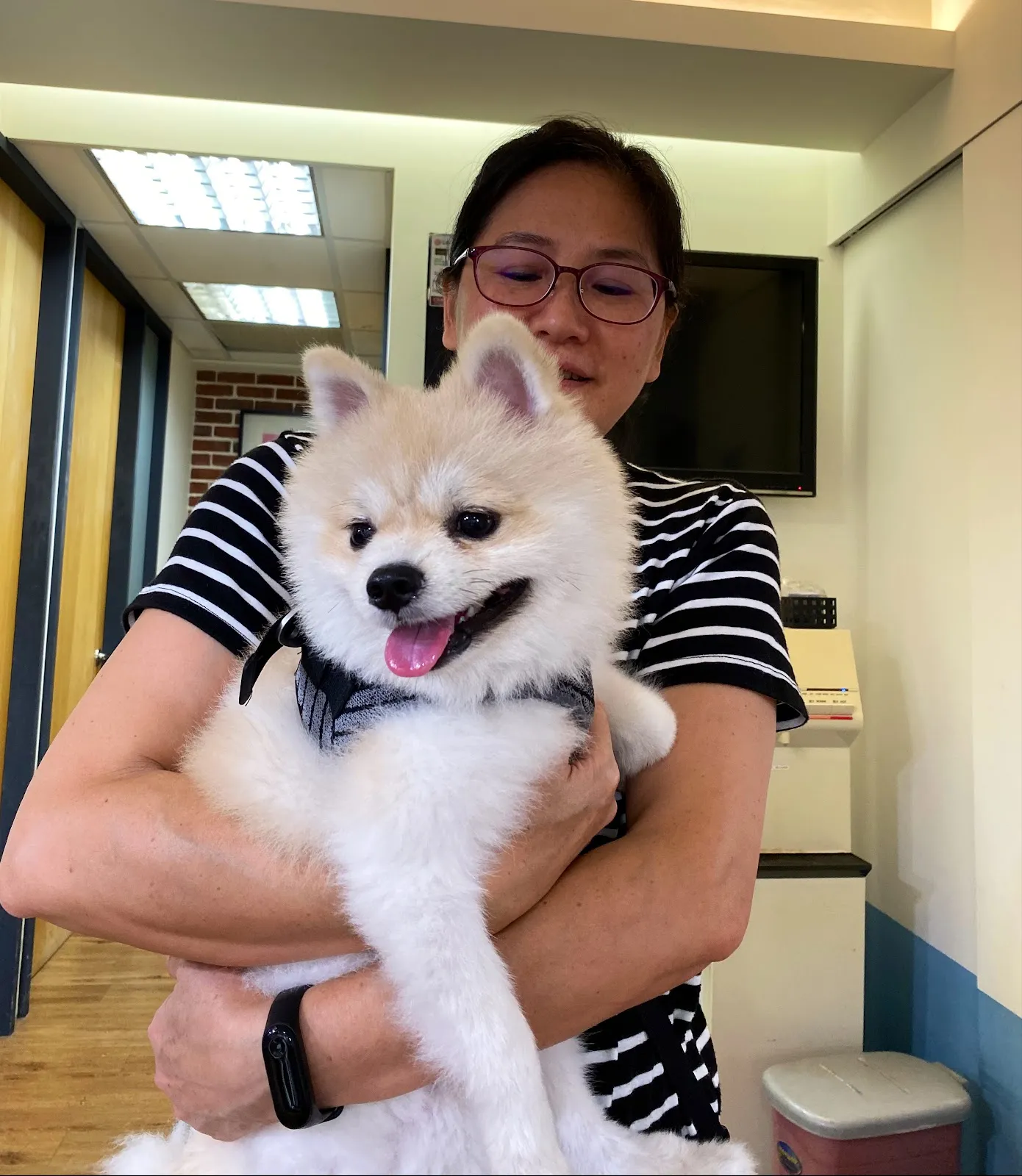 曼哈頓動物醫院