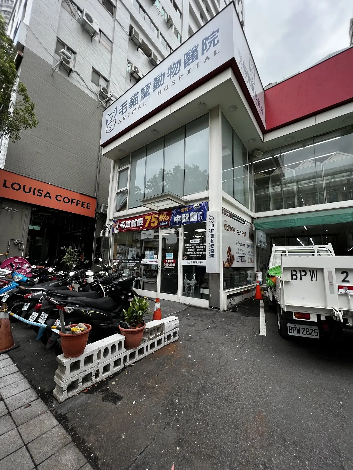 毛貓寵動物醫院