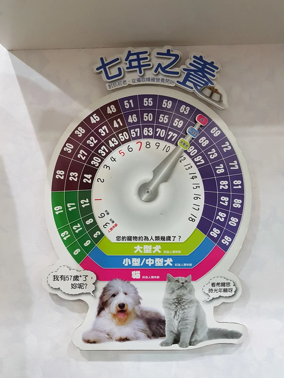 復興動物醫院