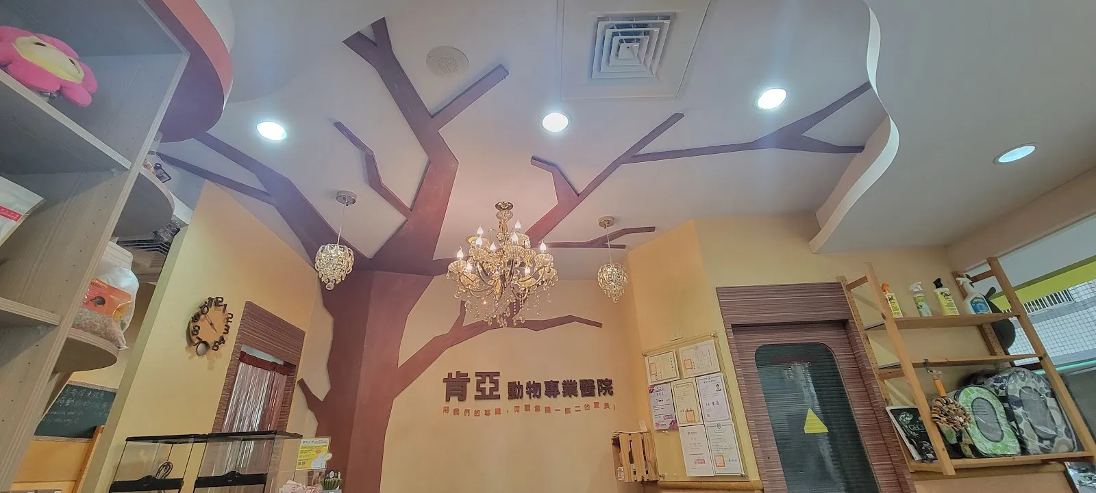 馬達加斯加動物醫院