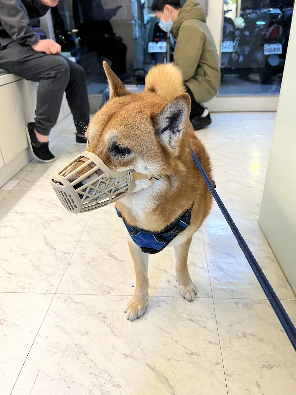 全國動物醫院永和分院