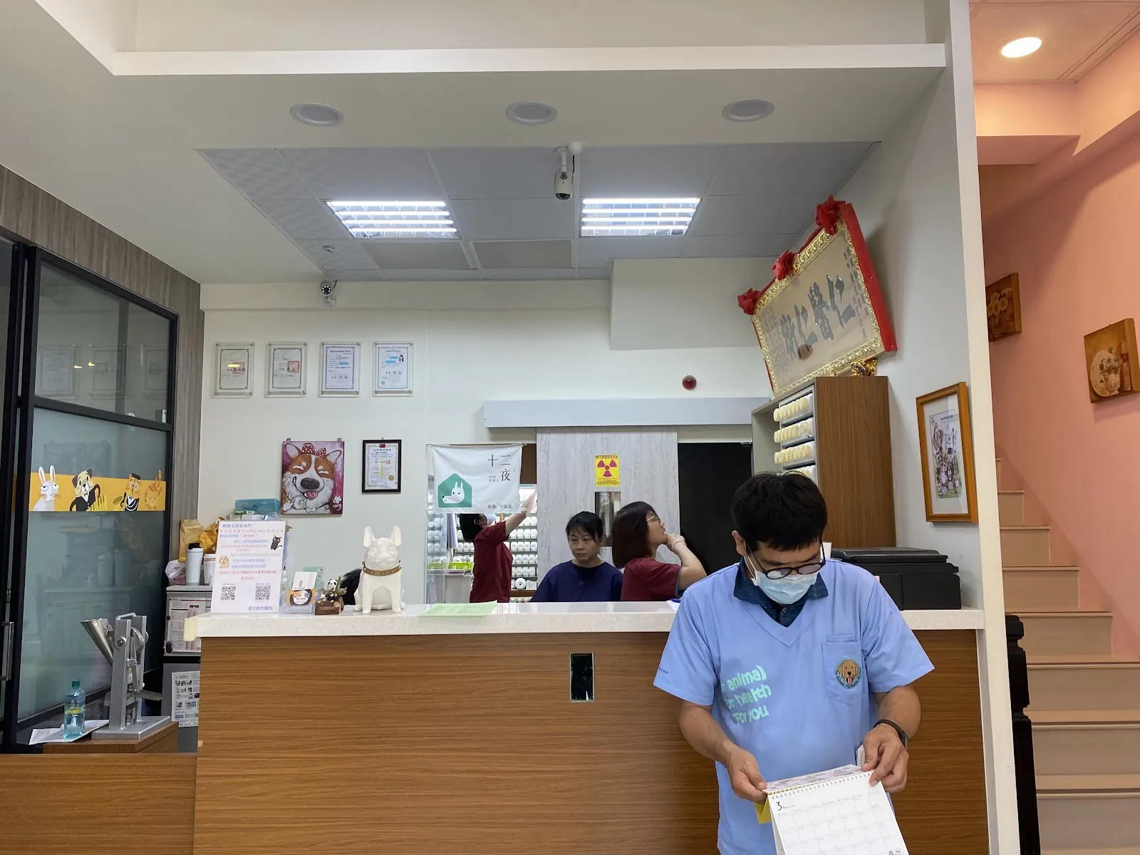 楠梓德民動物醫院