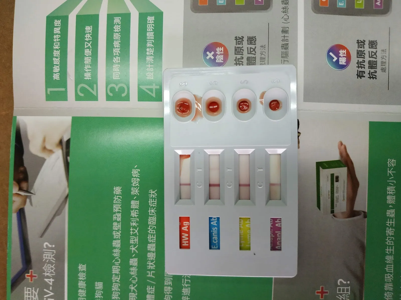 謝獸醫動物醫院