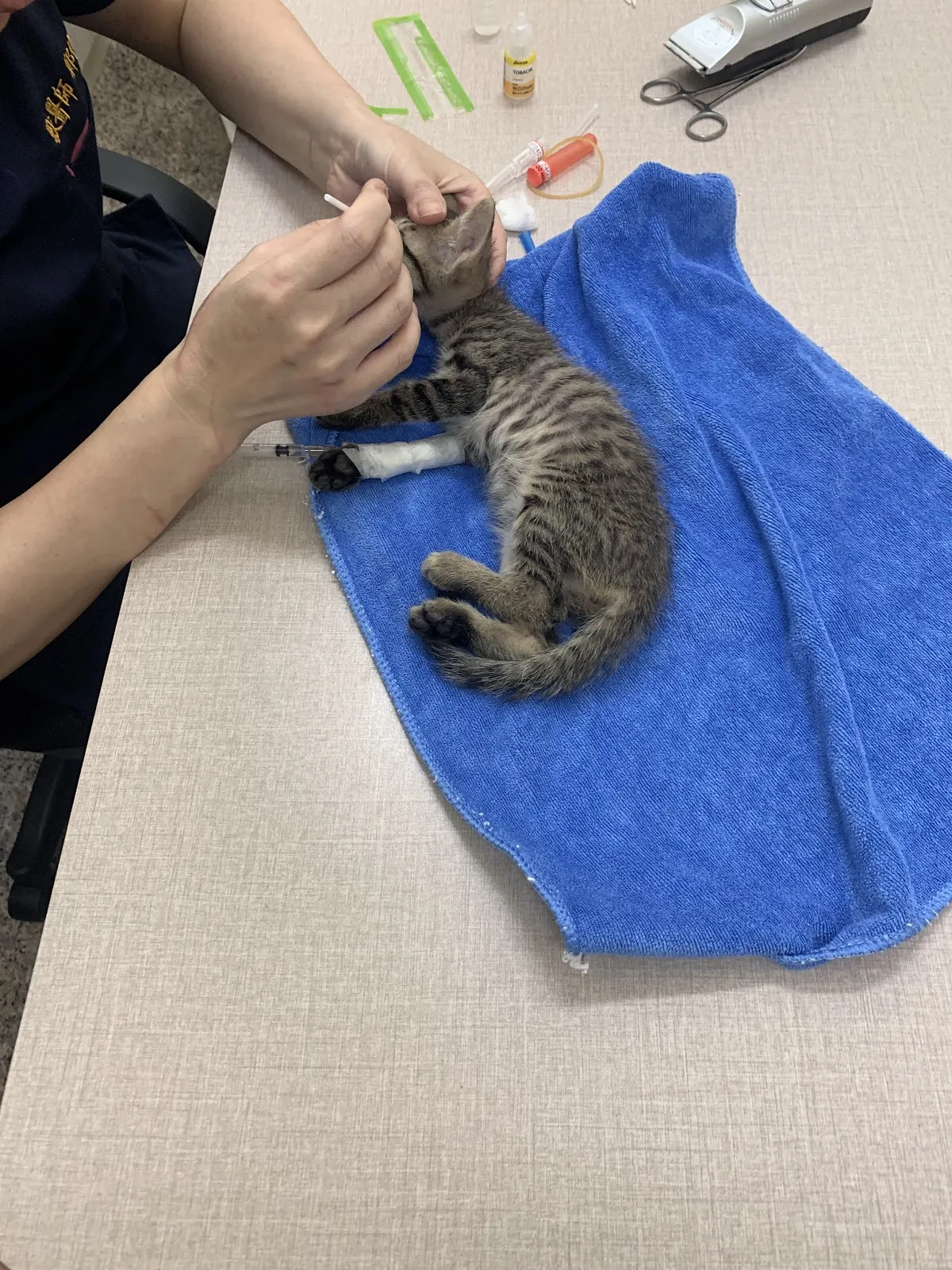 佳畜動物診所