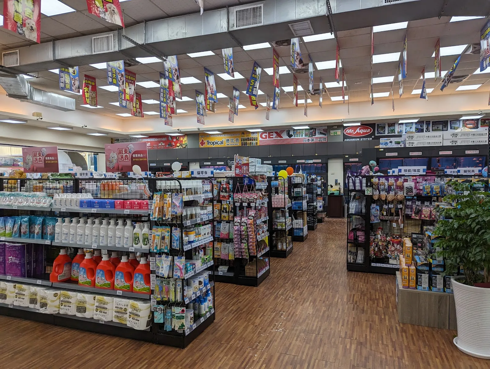 慈愛動物醫院大灣分院