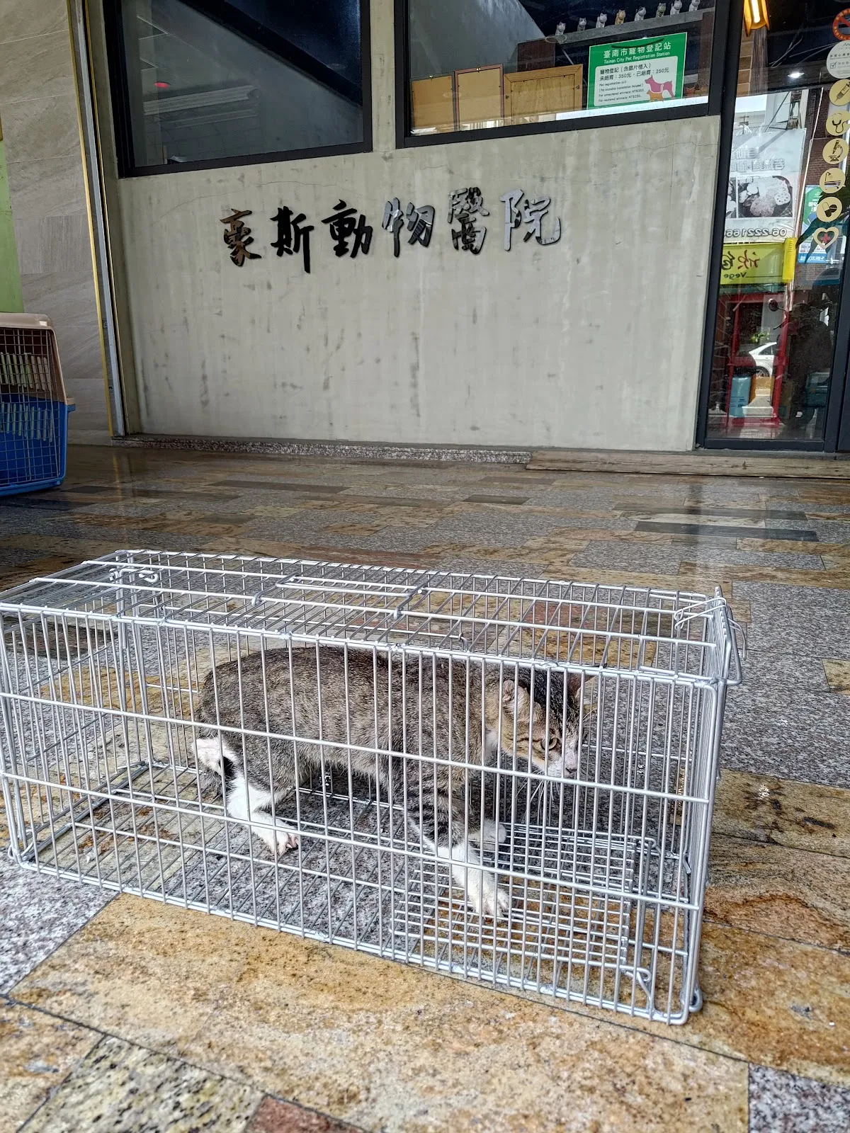豪斯動物醫院