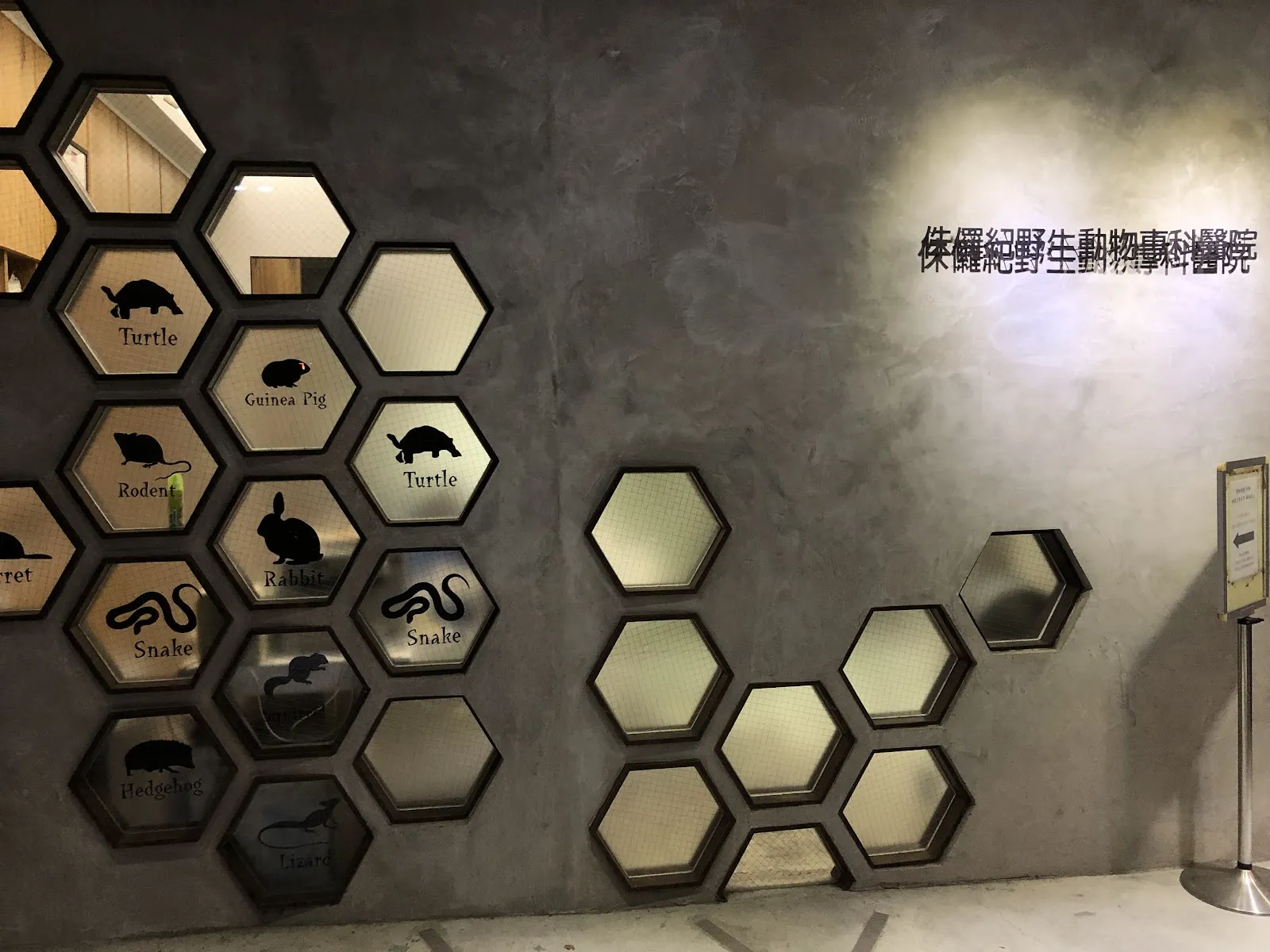 侏儸紀野生動物專科醫院