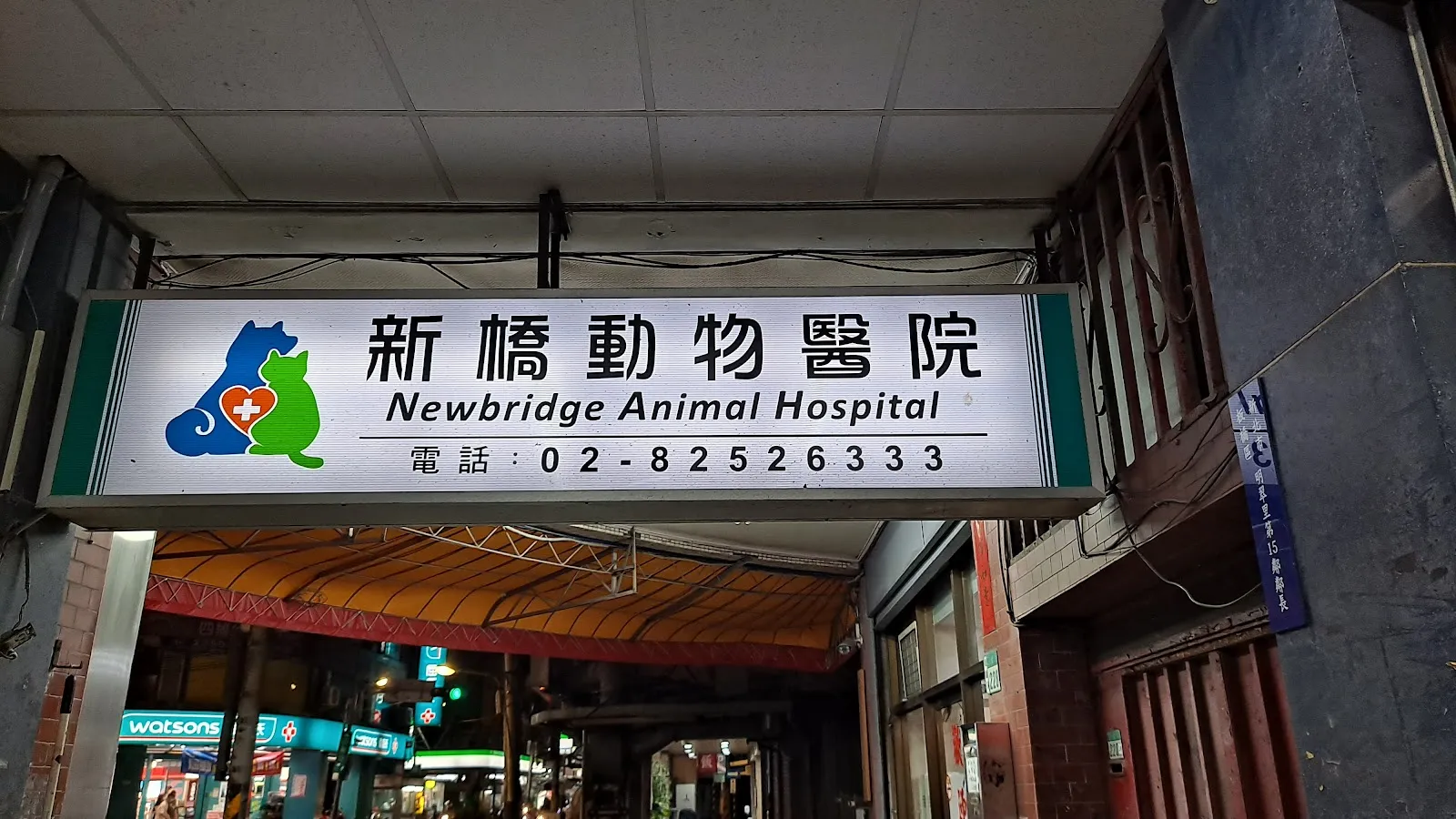 新橋動物醫院