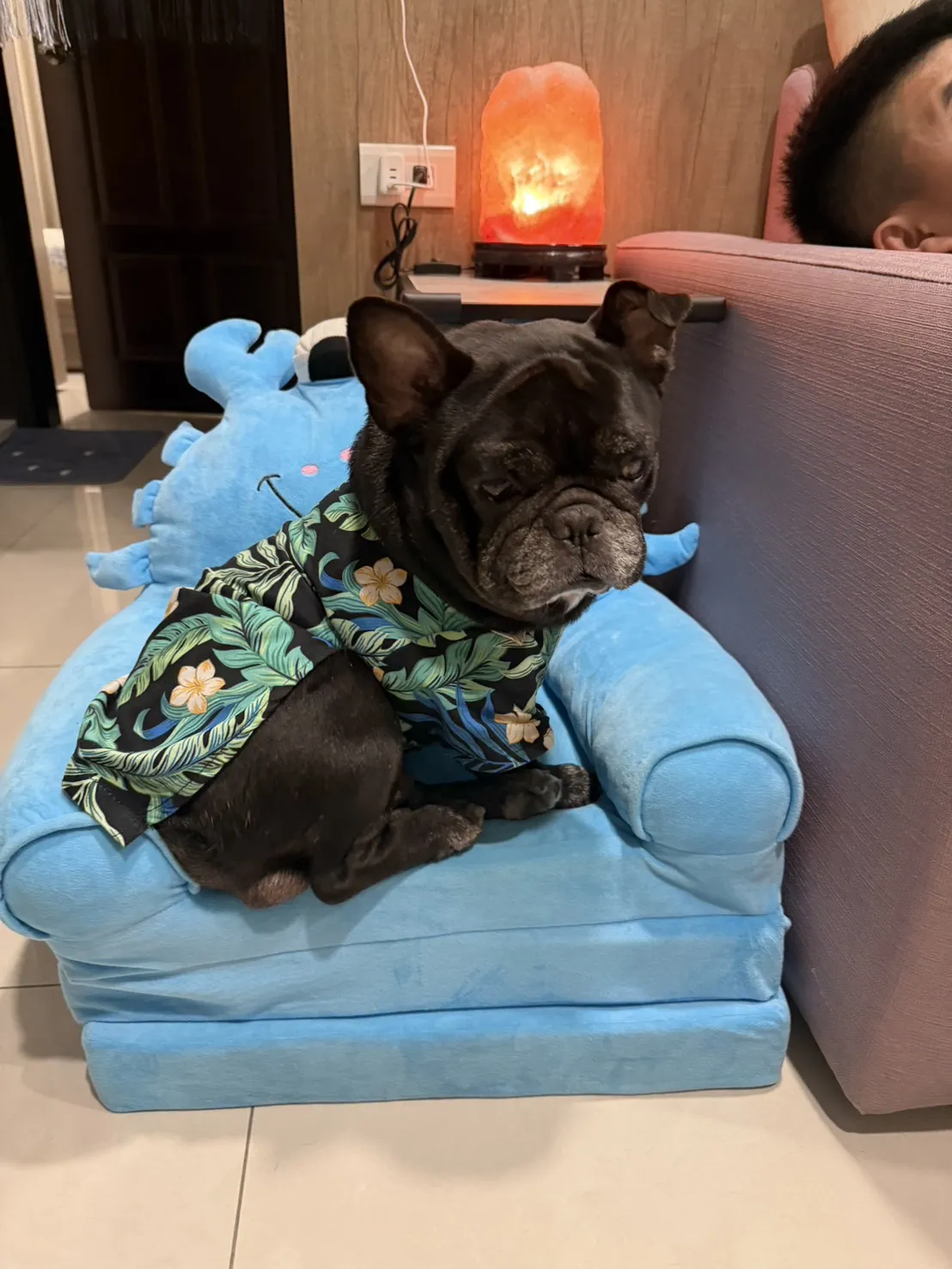 傑生寵物生活館