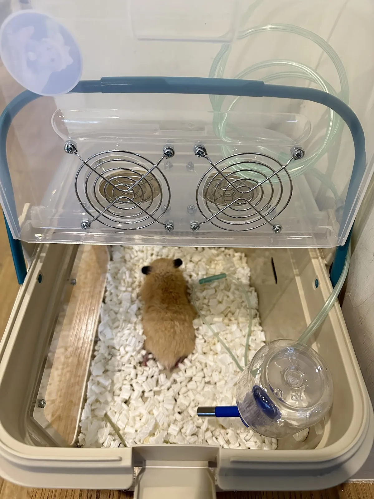 大福小幸動物醫院