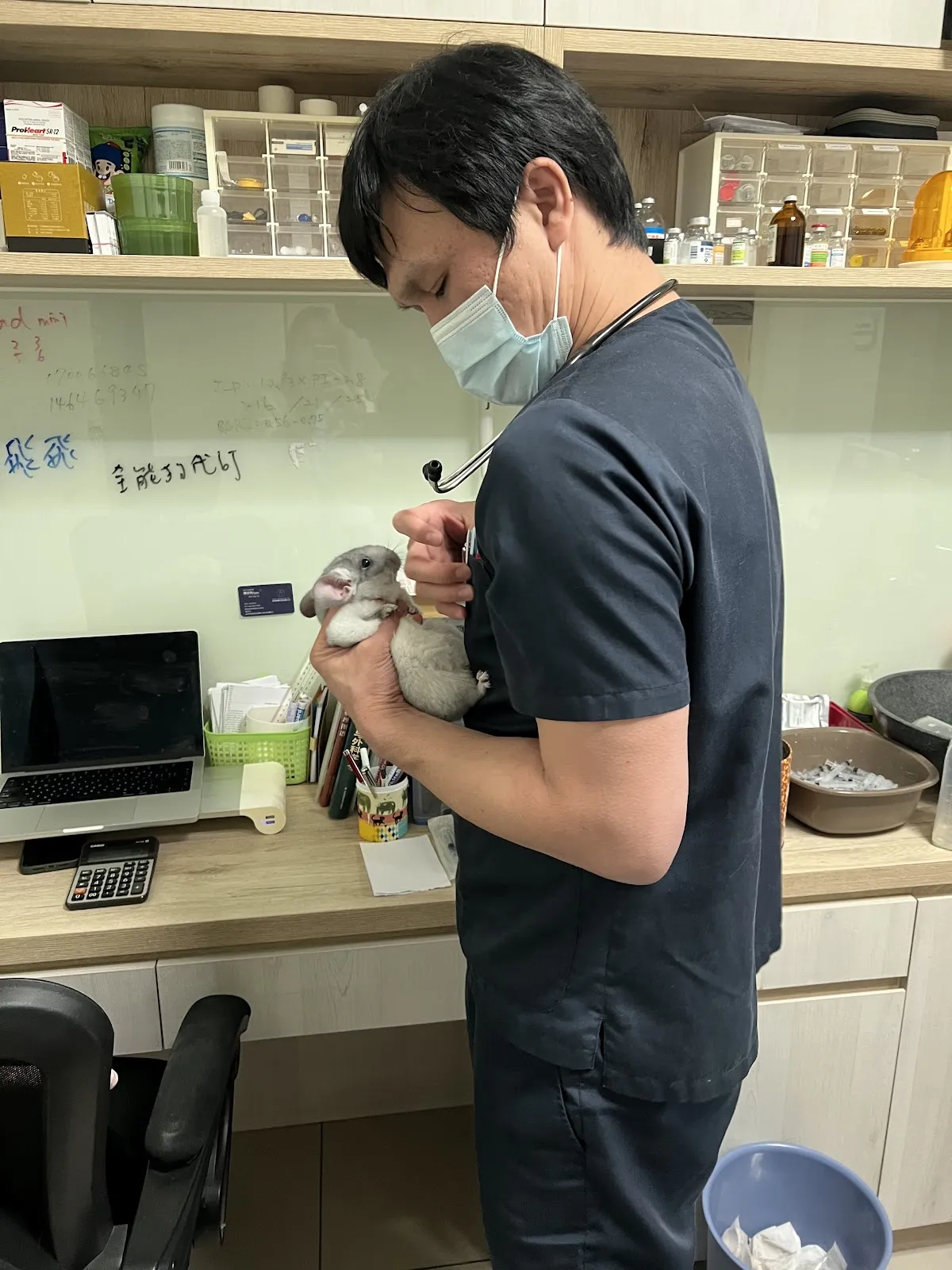 大福小幸動物醫院