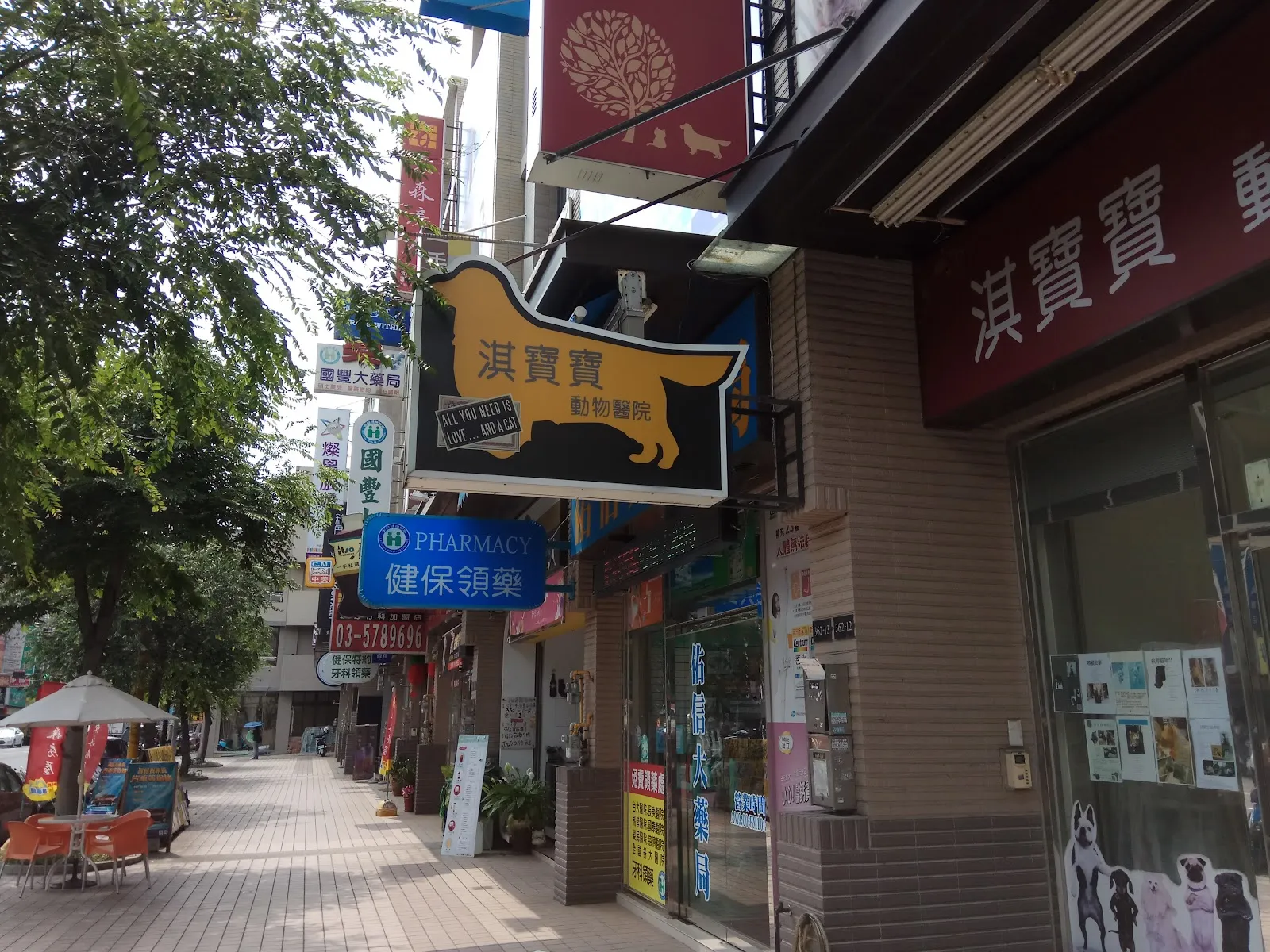 淇寶寶動物醫院