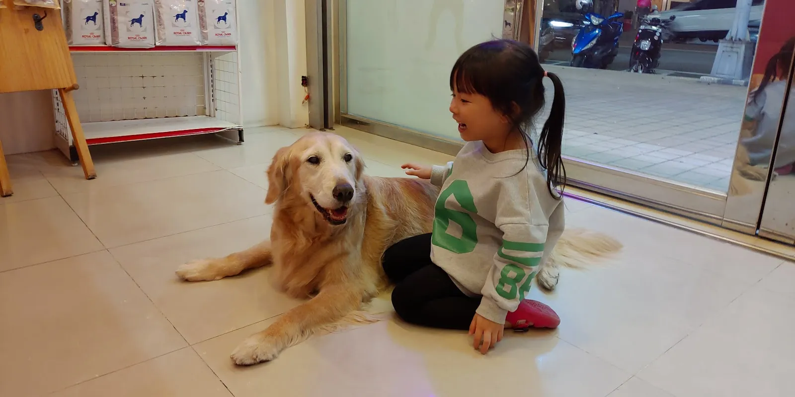 淇寶寶動物醫院