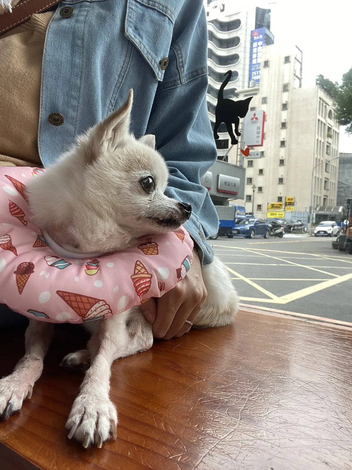 小王子動物醫院復健分院