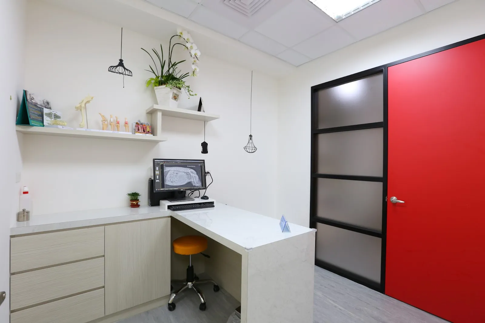 小王子動物醫院復健分院