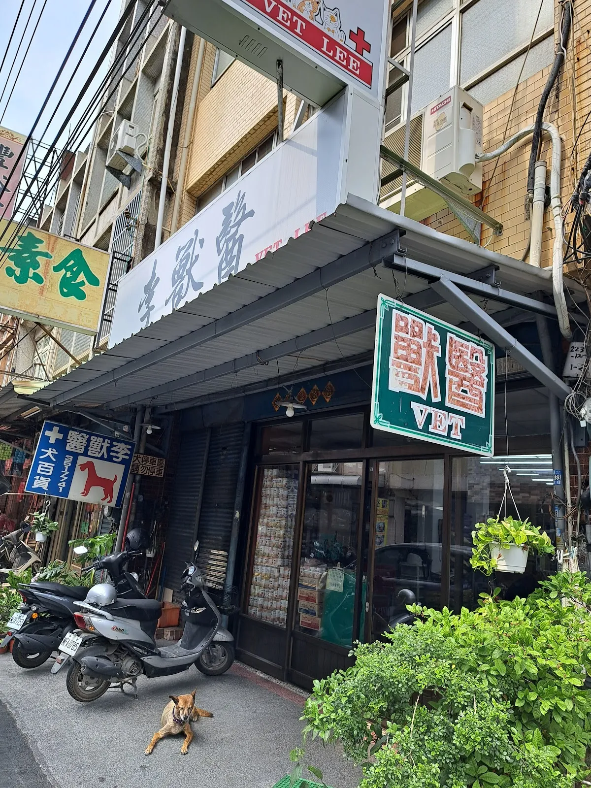 大社家畜醫院