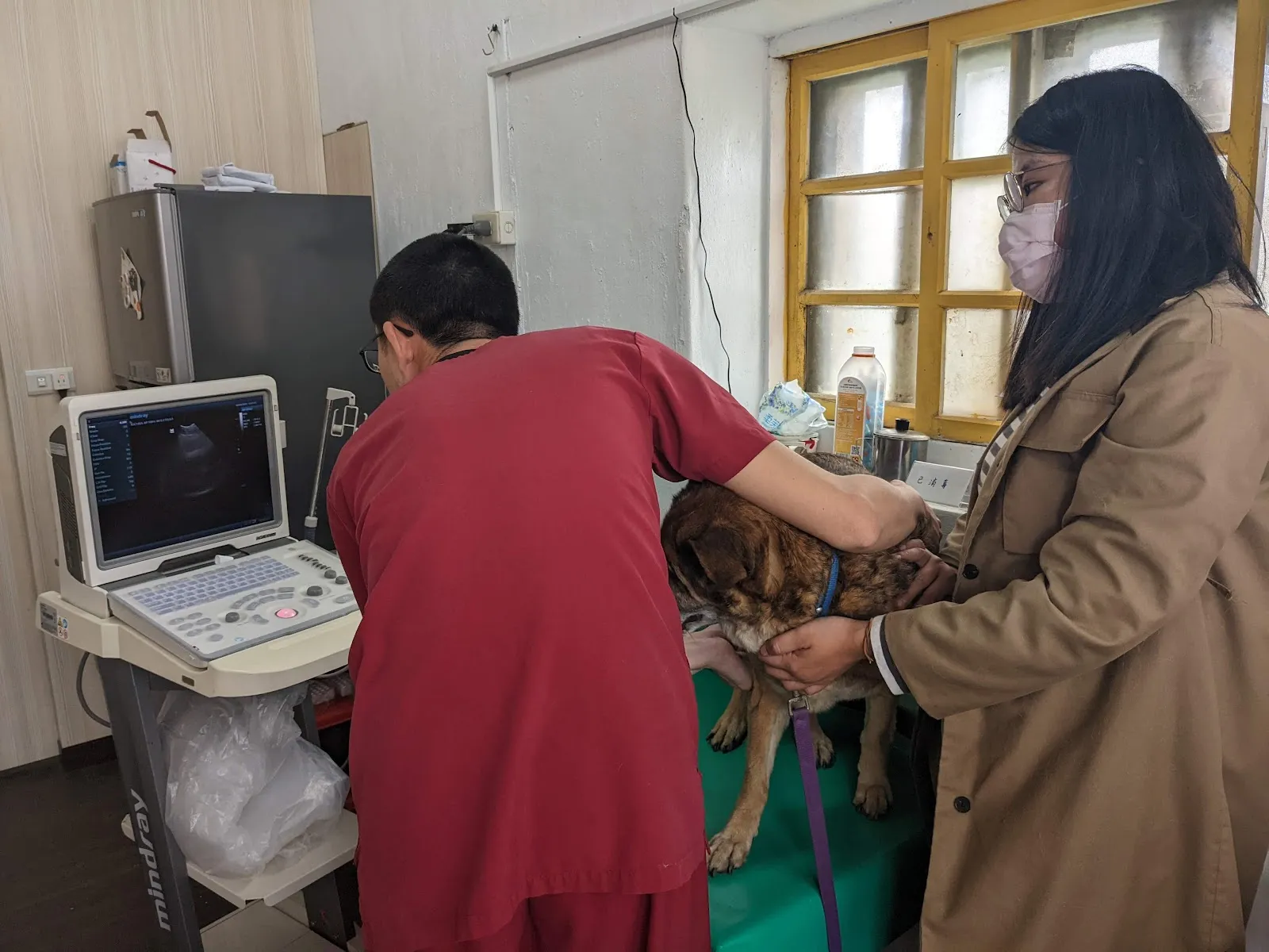 米克斯的動物醫院