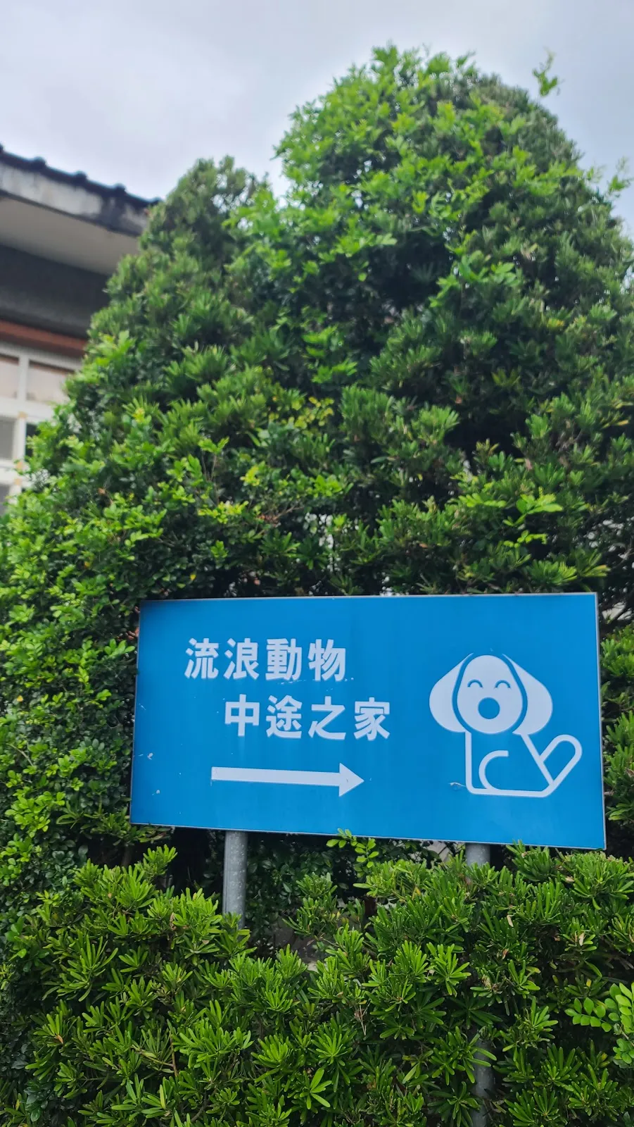宜蘭縣動植物防疫所附設動物醫院