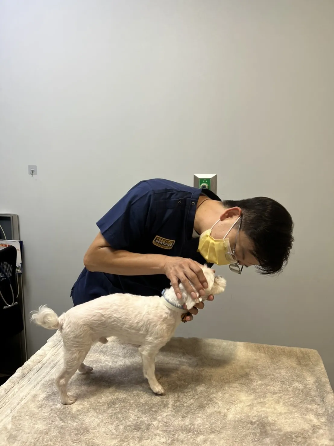 慈愛動物醫院高雄分院