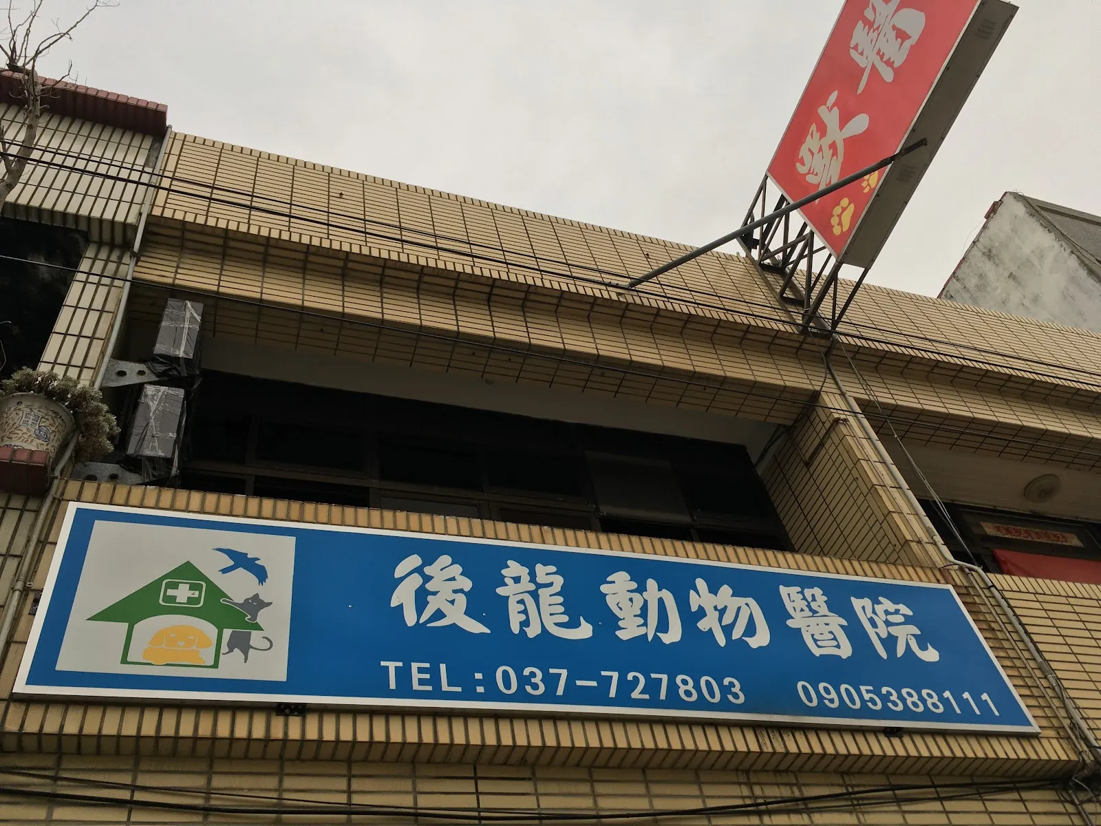 後龍動物醫院