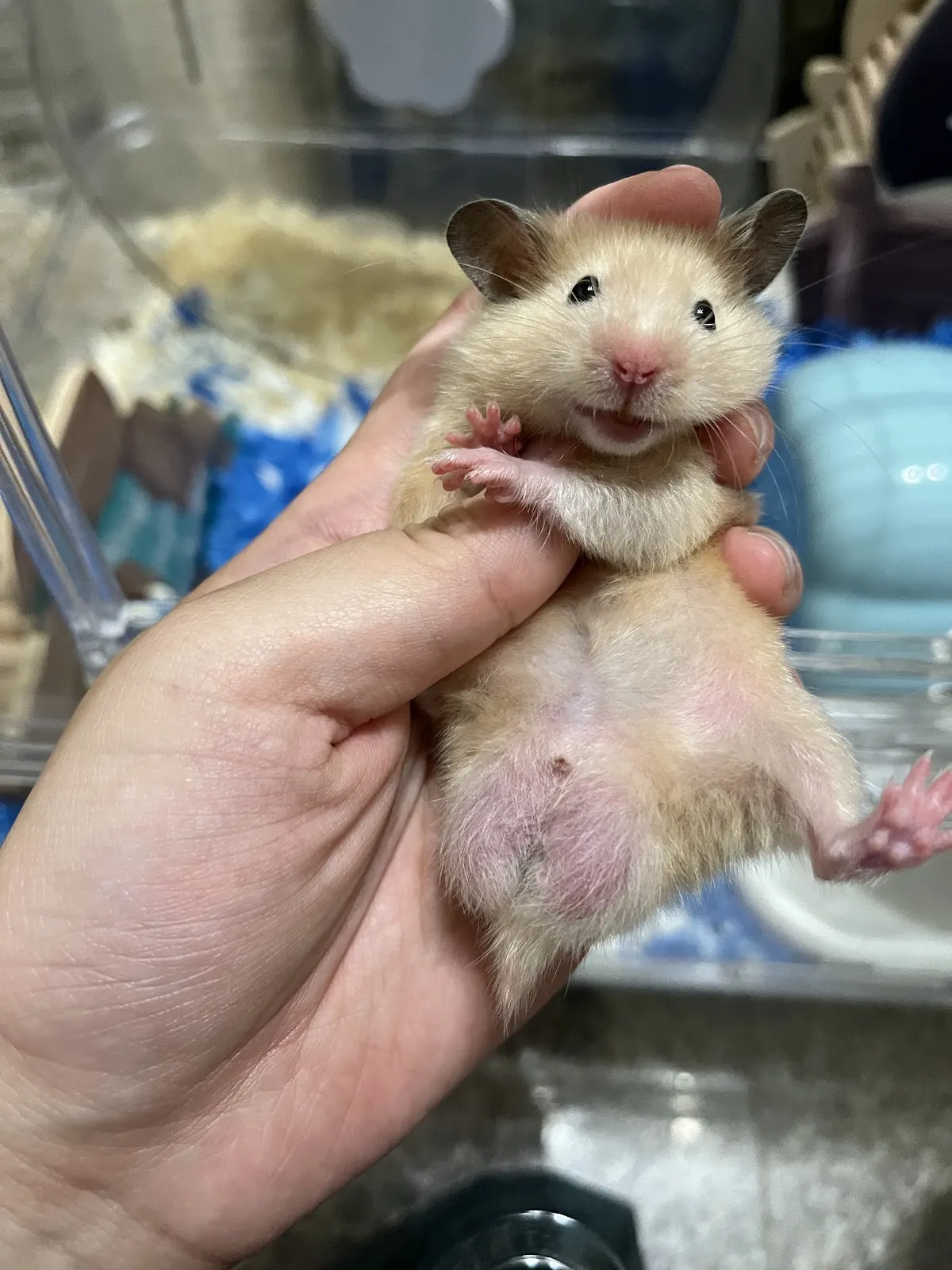 秘境野生動物專科醫院