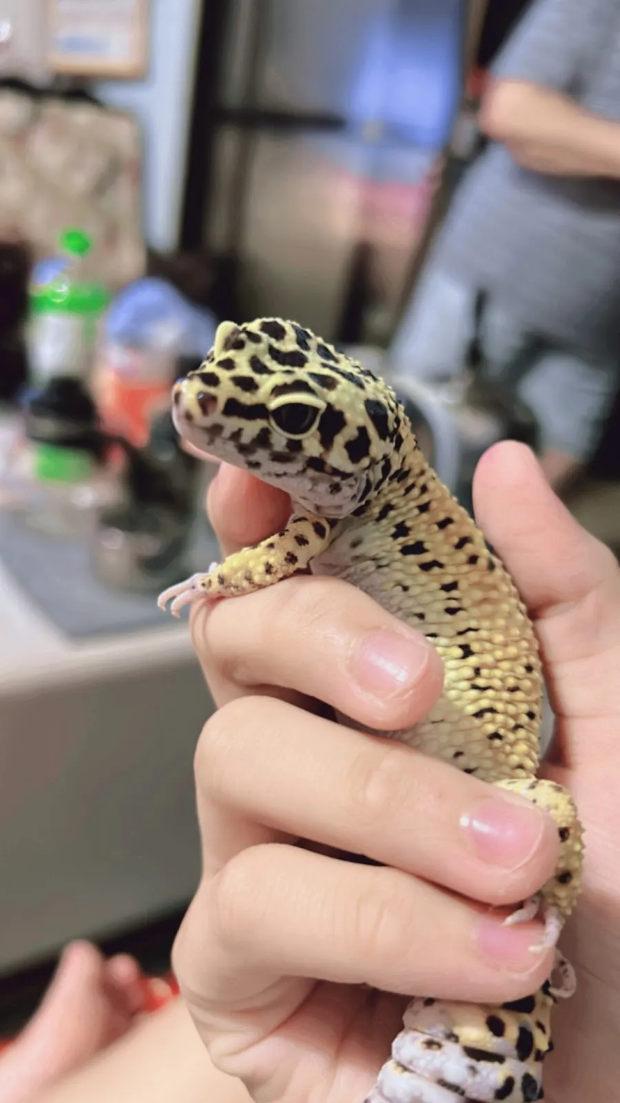 牧光特殊寵物專科醫院