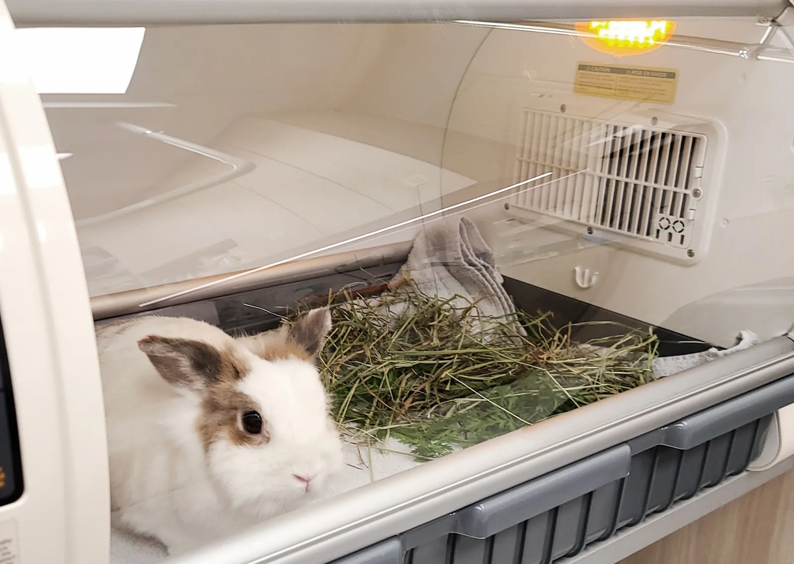 牧光特殊寵物專科醫院