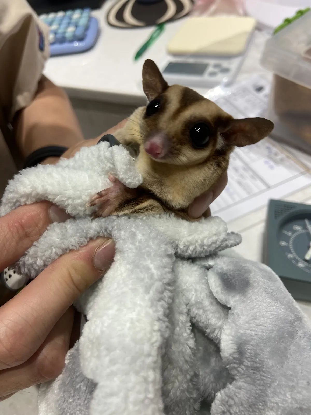 牧光特殊寵物專科醫院