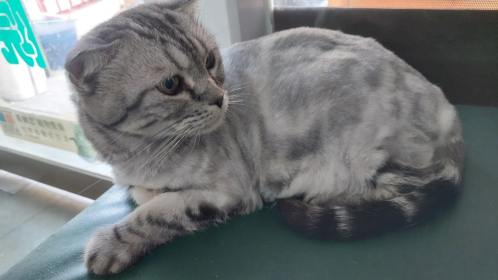 新長庚動物醫院