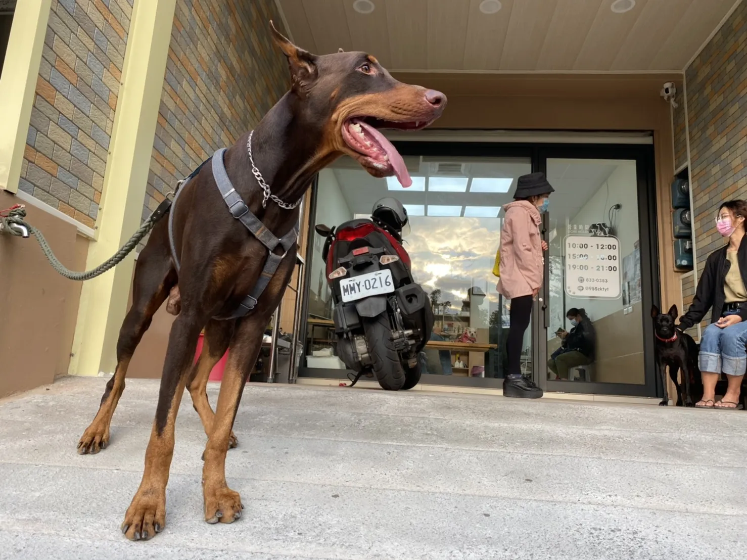 小怪獸動物醫院