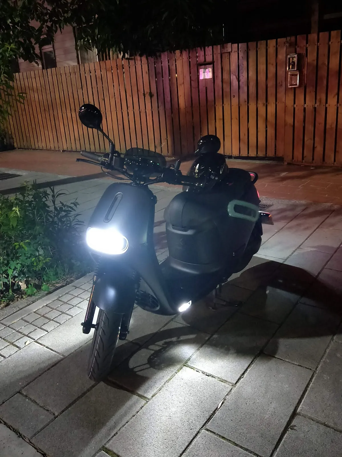 臺大健弘動物醫院