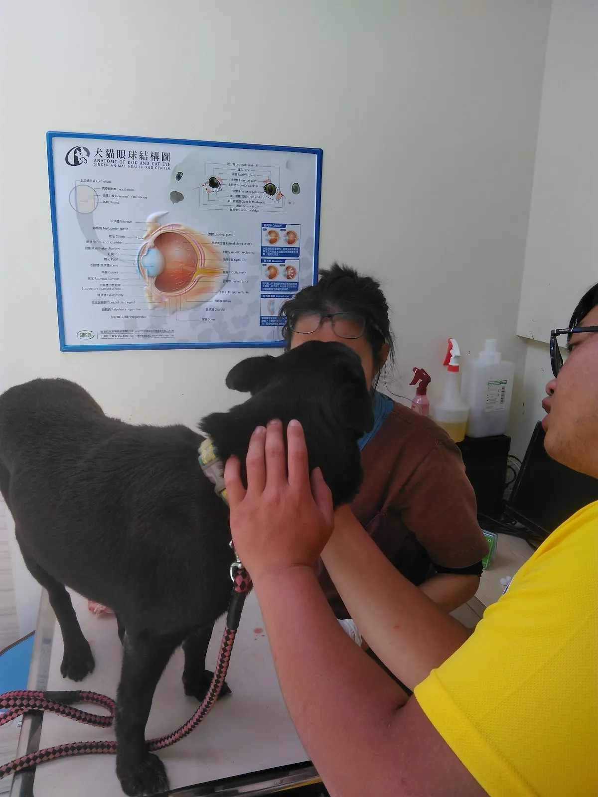 臺大健弘動物醫院