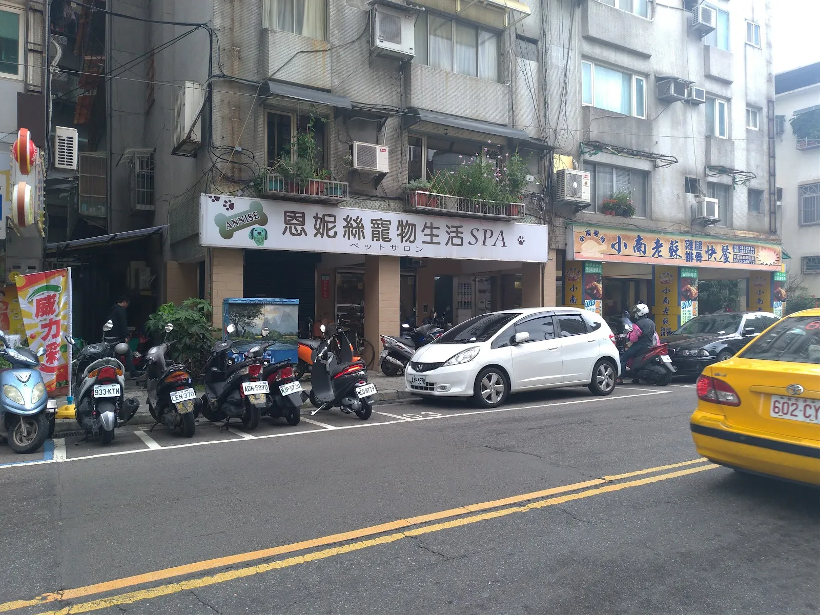 尼古拉動物醫院