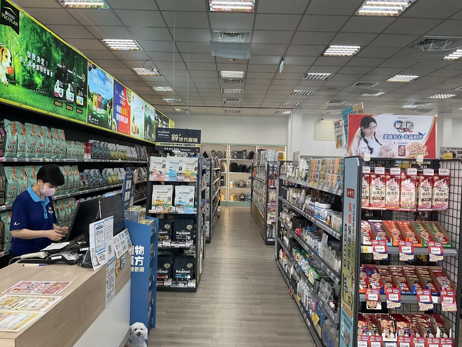 慈愛動物醫院北屯分院