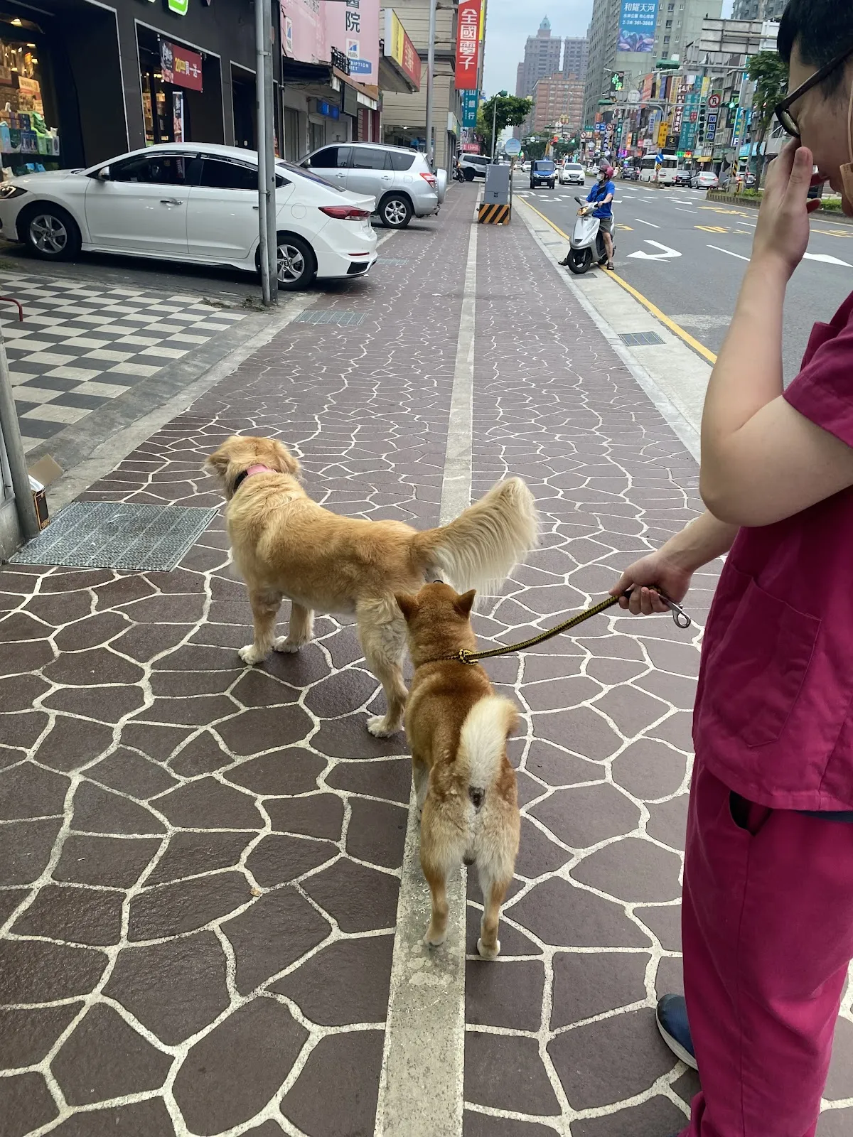 元氣動物醫院南崁分院