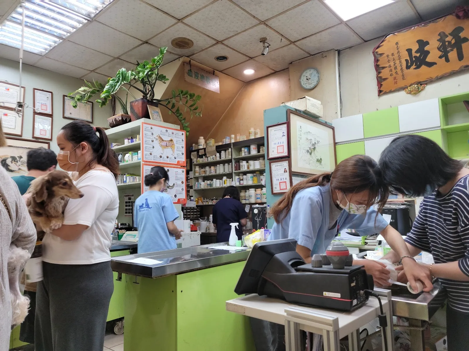 信安動物醫院
